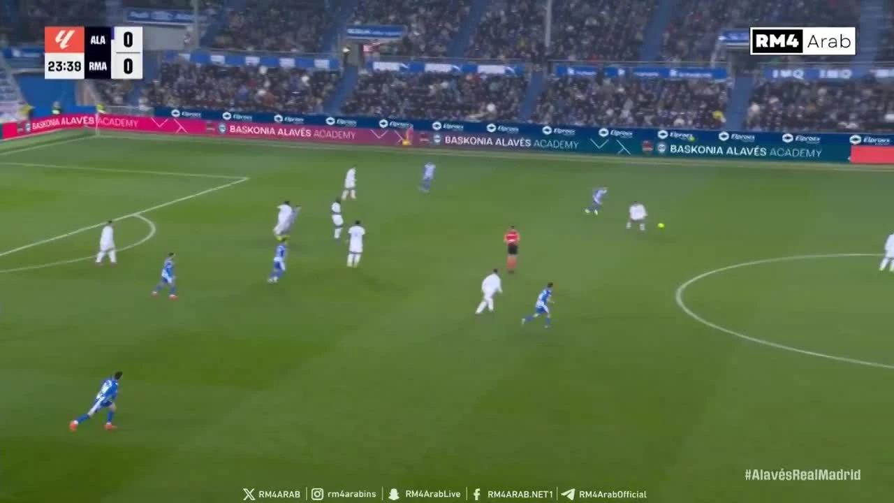 zaslepka skrotu video