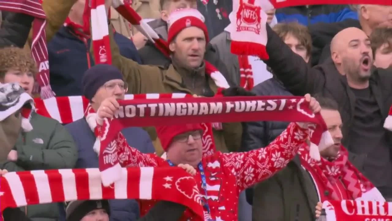 zaslepka skrotu video