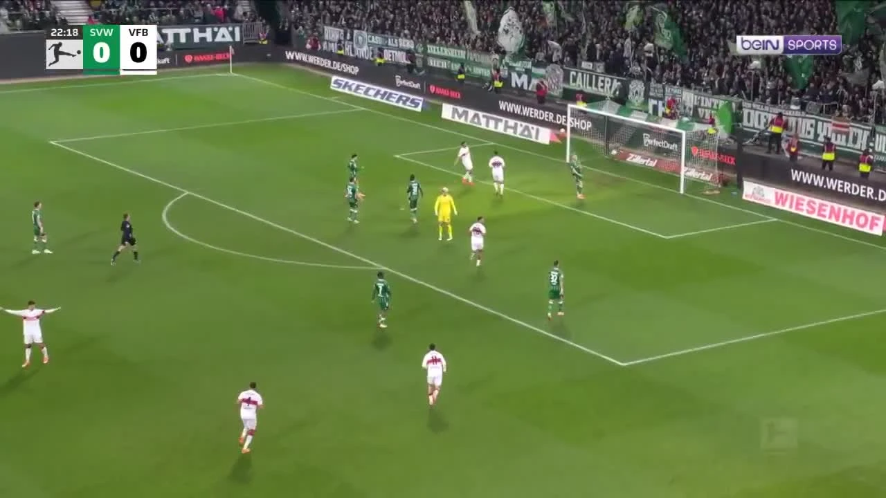 zaslepka skrotu video