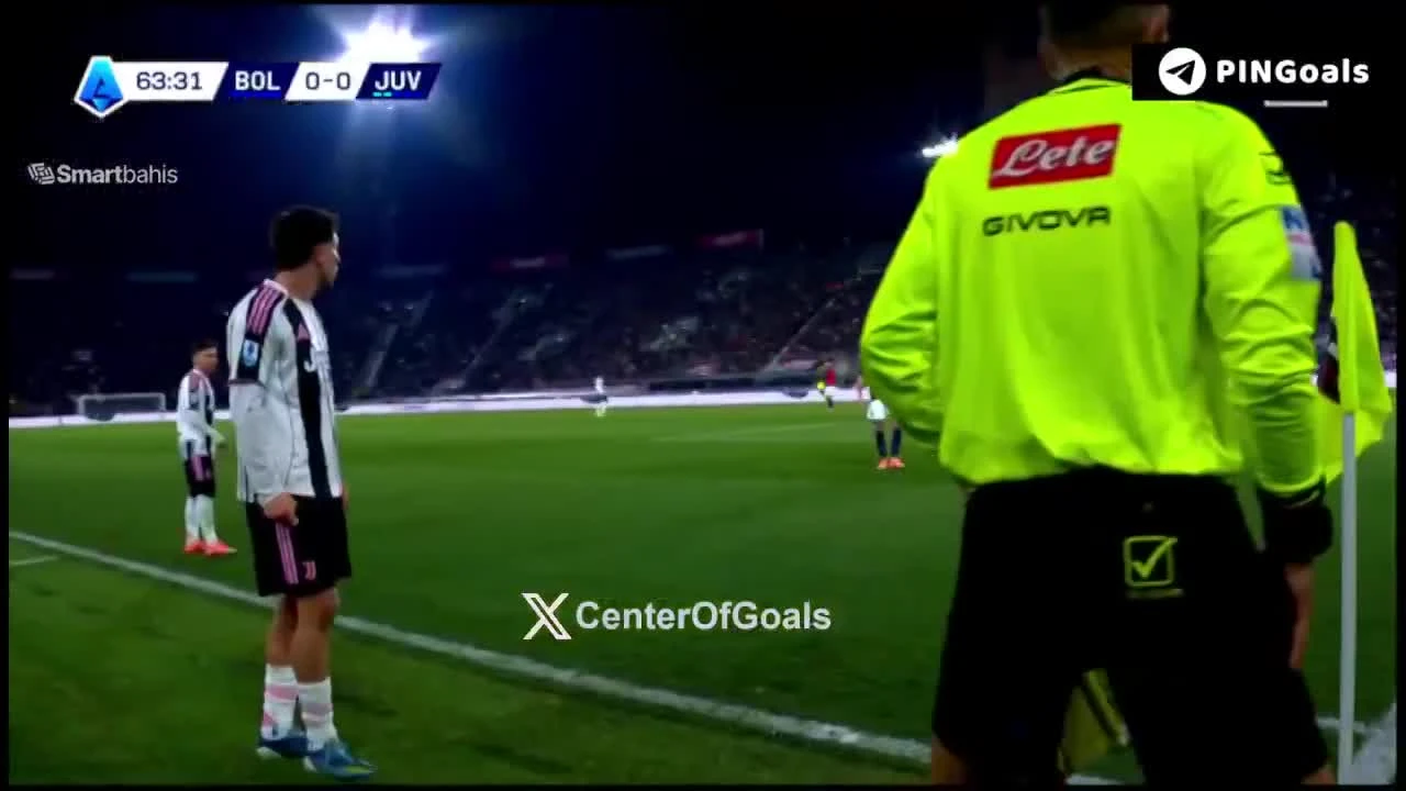 zaslepka skrotu video