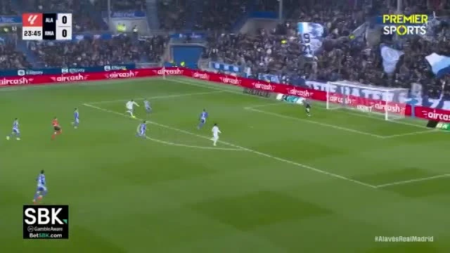 zaslepka skrotu video