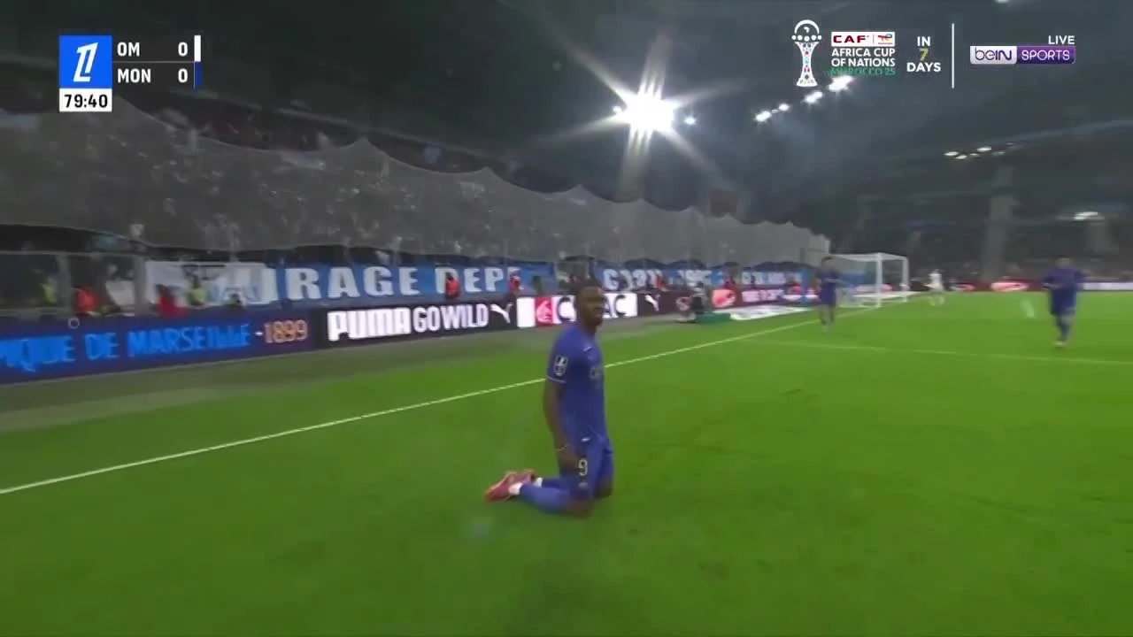 zaslepka skrotu video