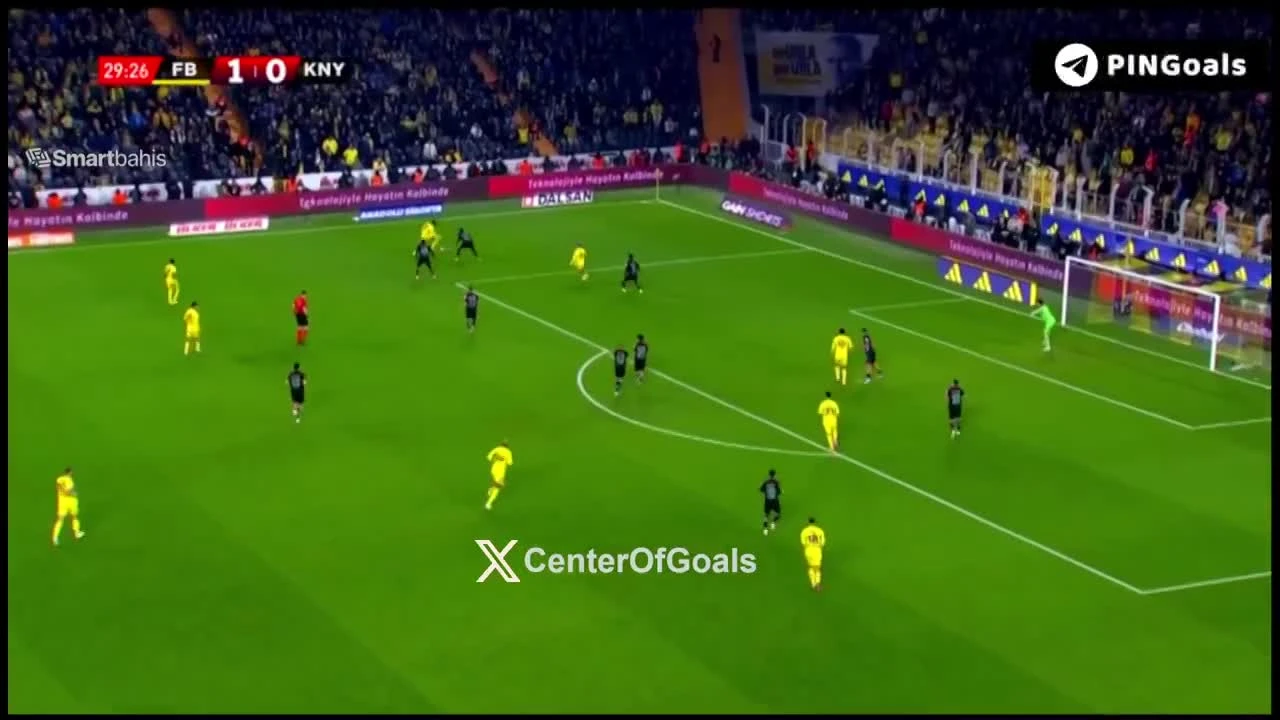 zaslepka skrotu video