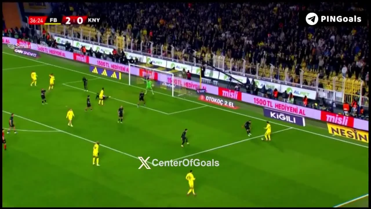 zaslepka skrotu video