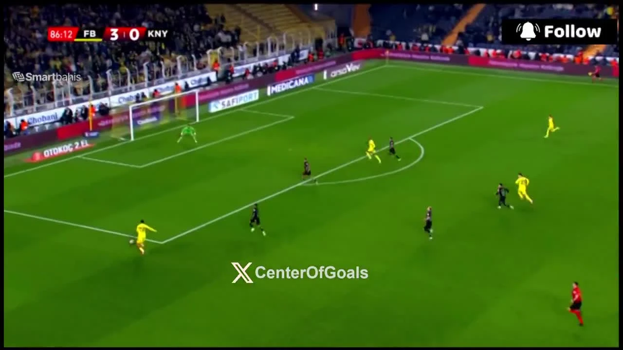 zaslepka skrotu video