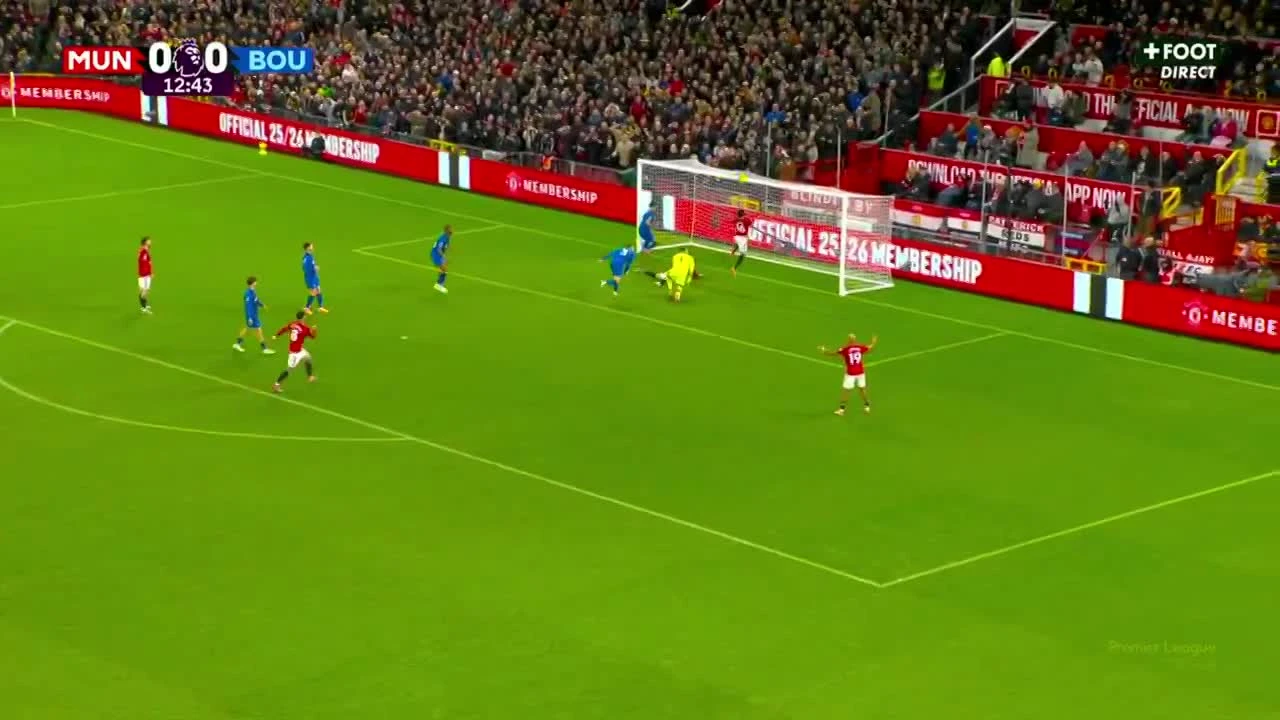 zaslepka skrotu video