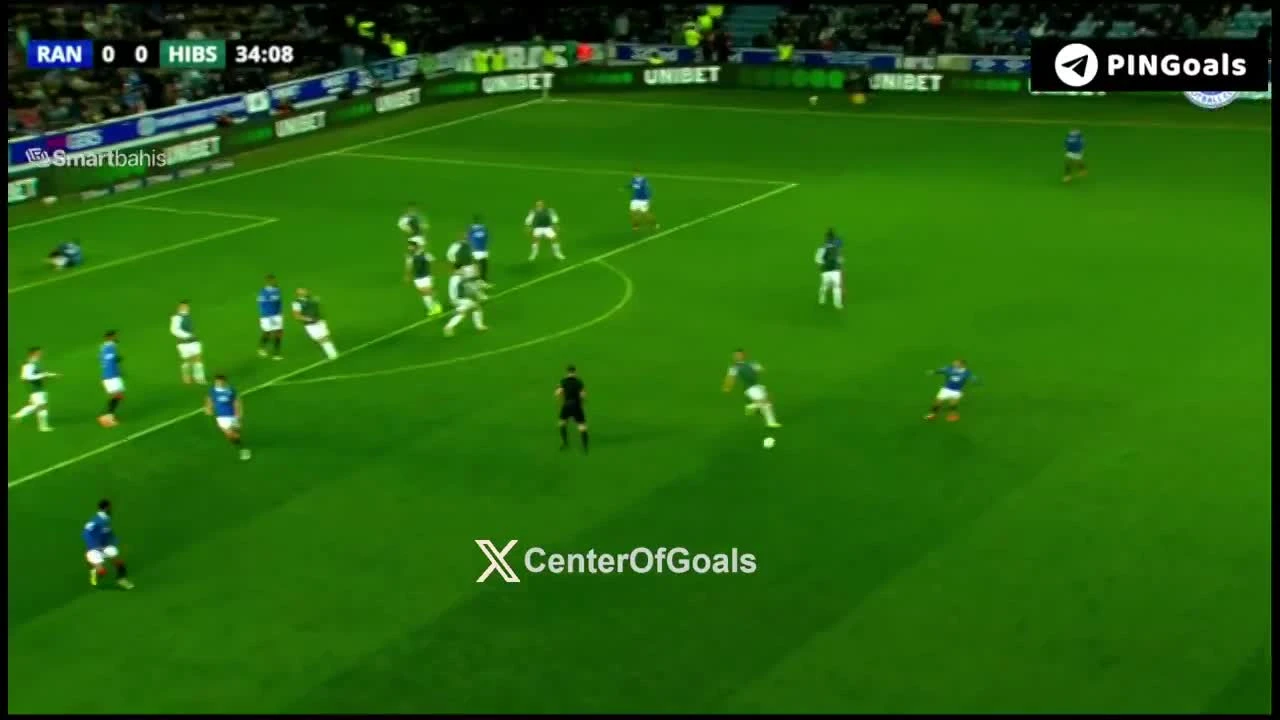 zaslepka skrotu video