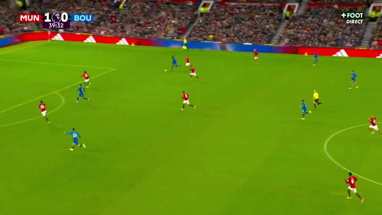 zaslepka skrotu video