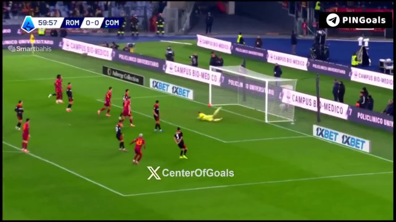 zaslepka skrotu video