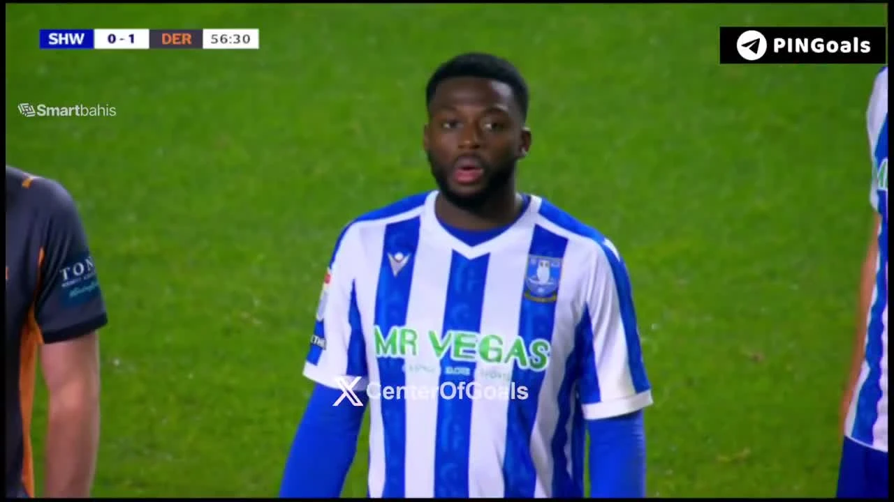 zaslepka skrotu video