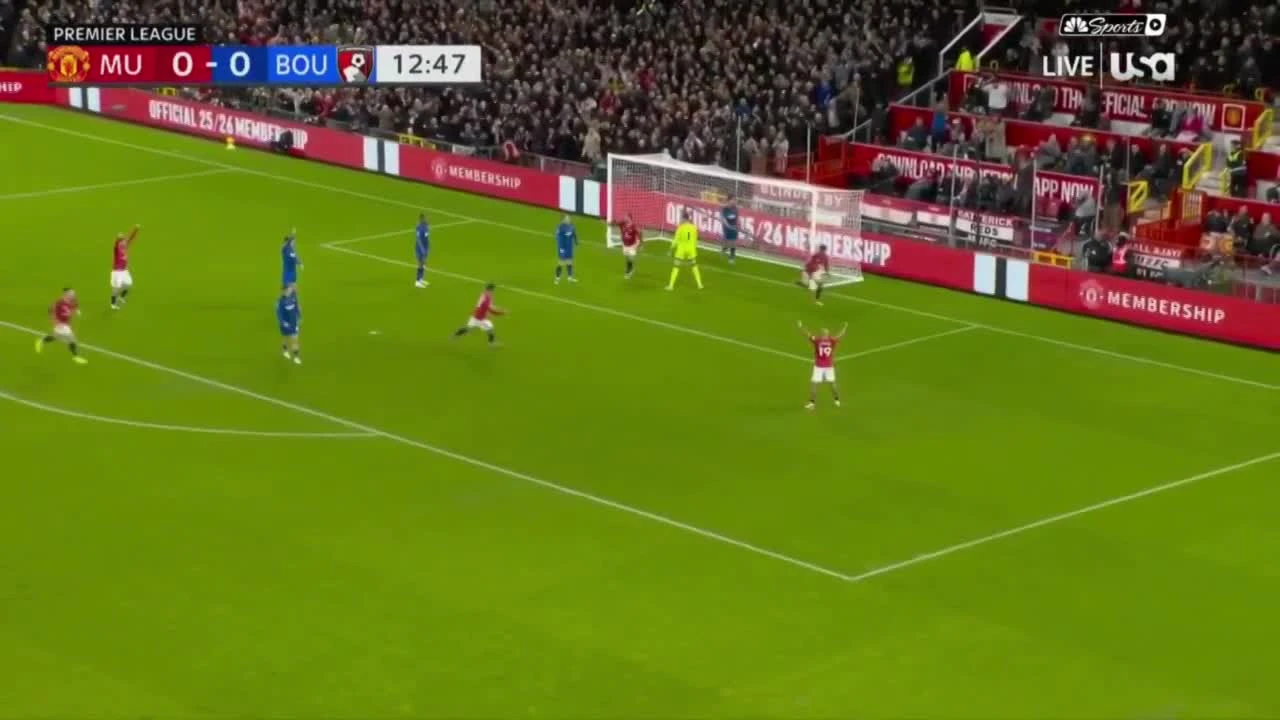 zaslepka skrotu video