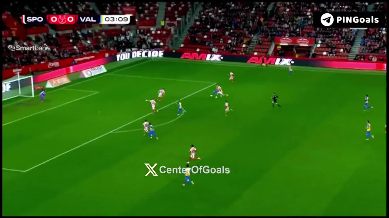 zaslepka skrotu video