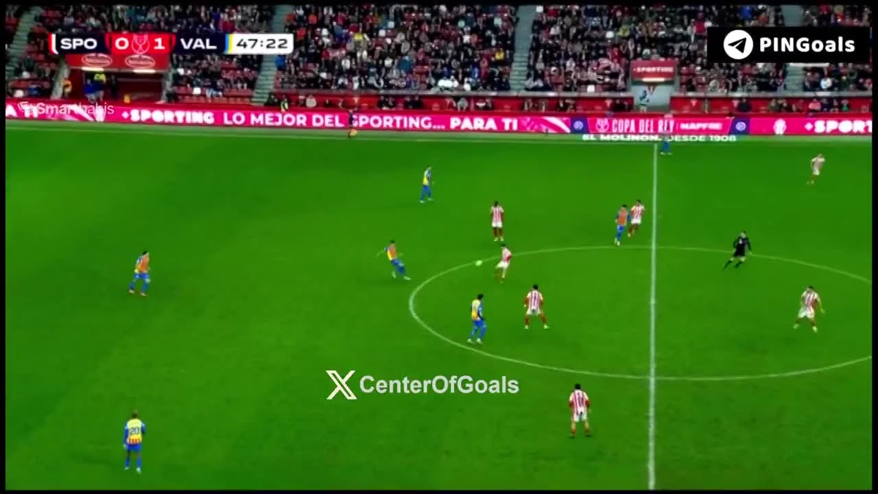 zaslepka skrotu video