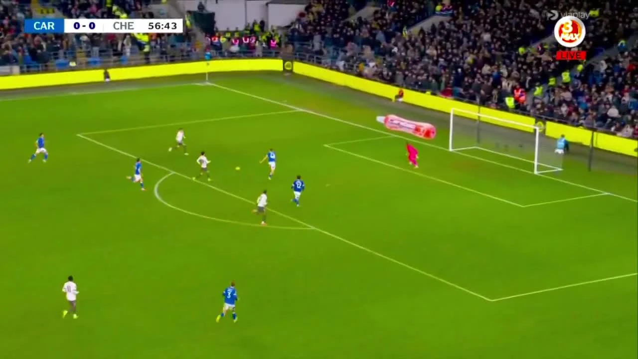 zaslepka skrotu video