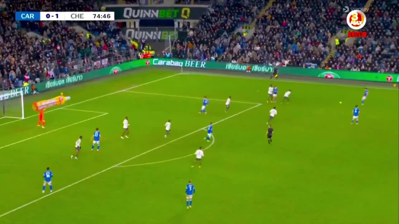 zaslepka skrotu video