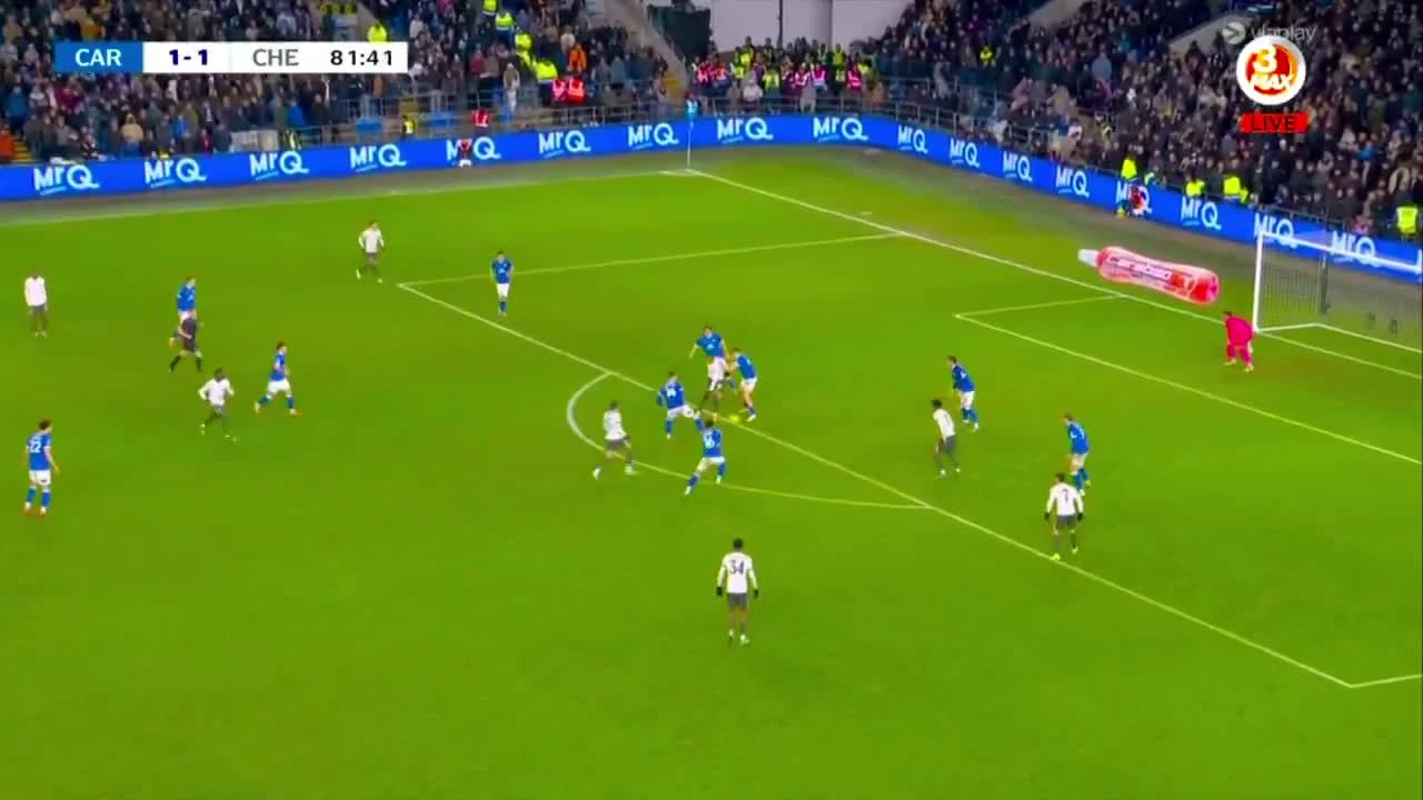 zaslepka skrotu video