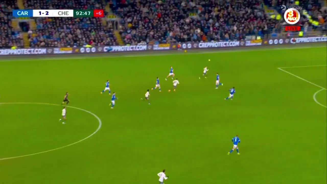 zaslepka skrotu video