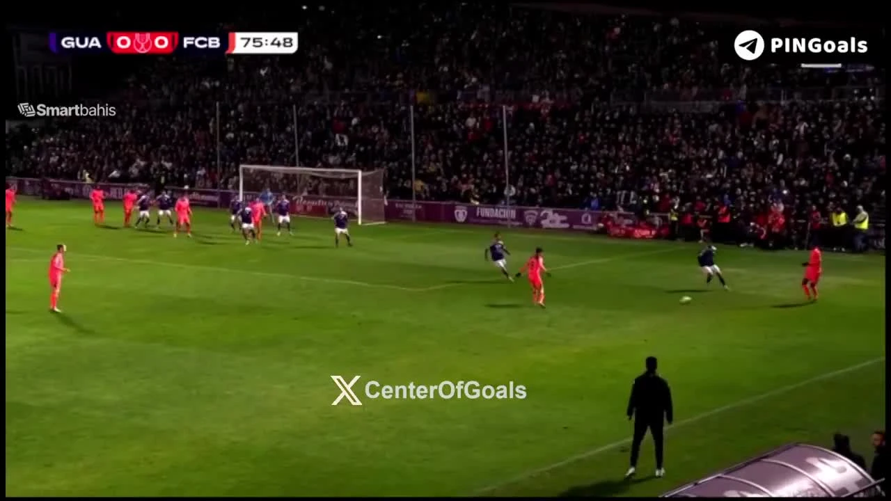 zaslepka skrotu video