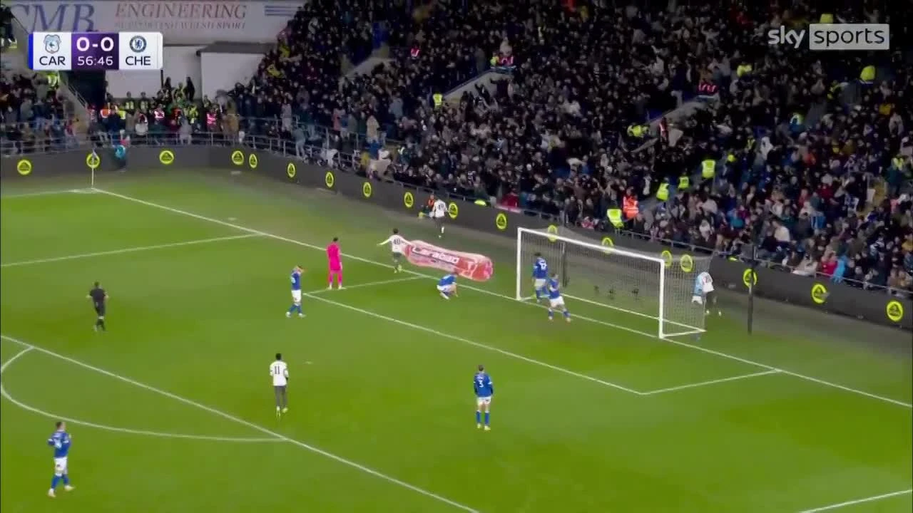 zaslepka skrotu video