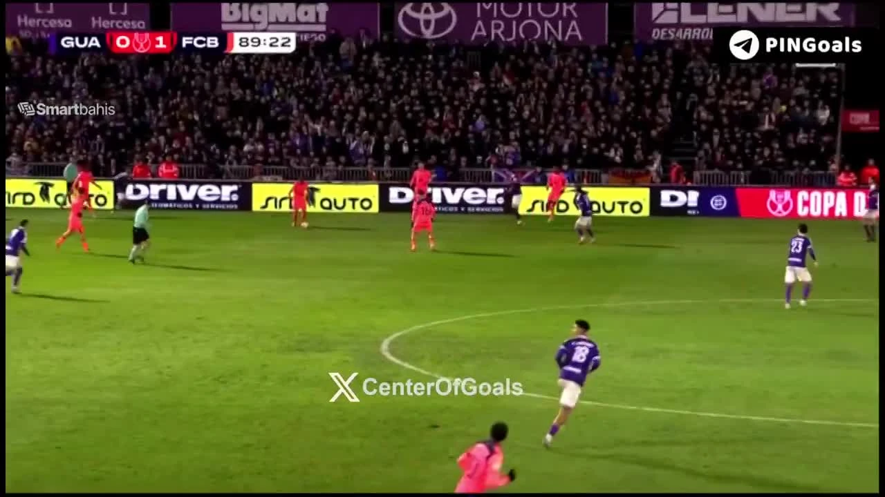 zaslepka skrotu video