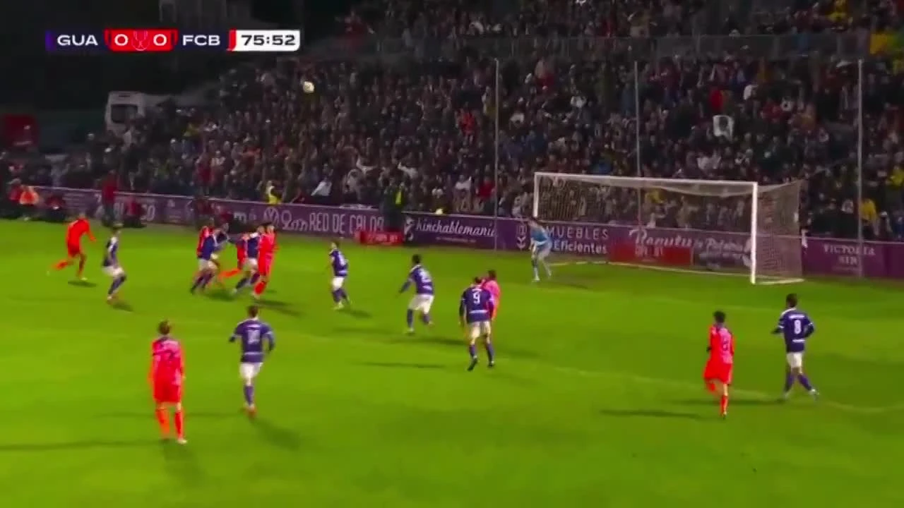 zaslepka skrotu video