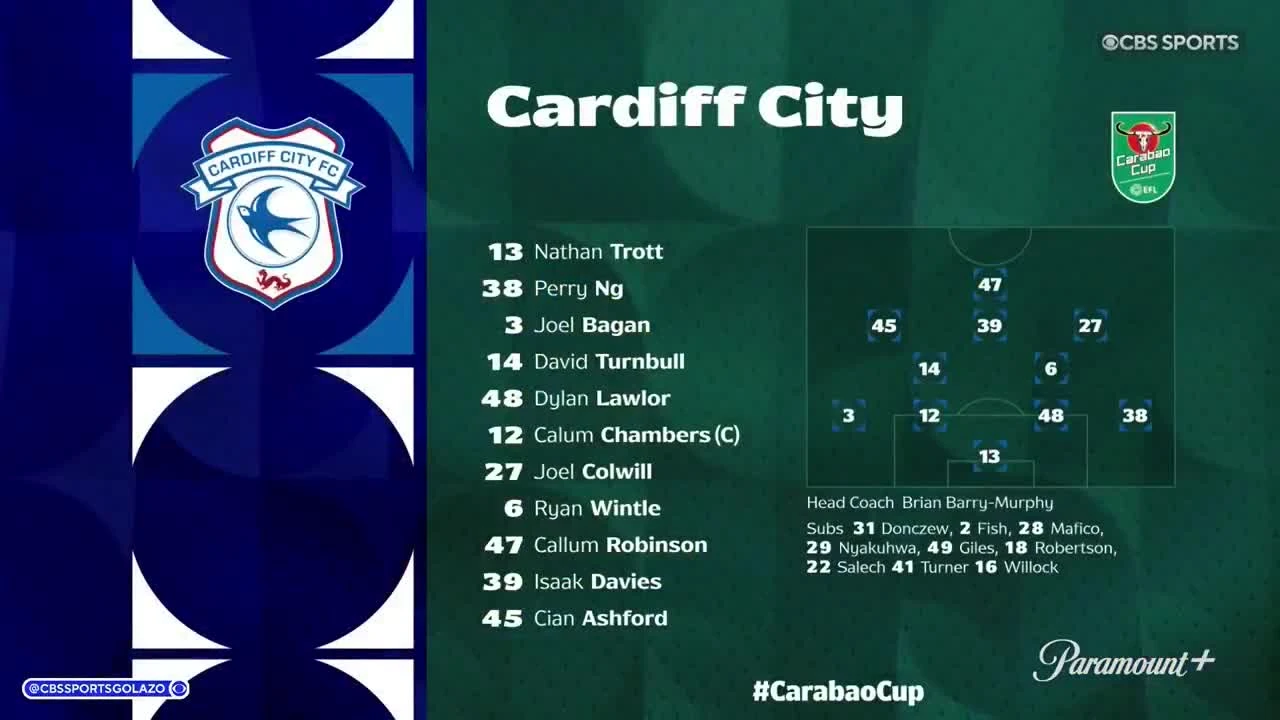 zaslepka skrotu video