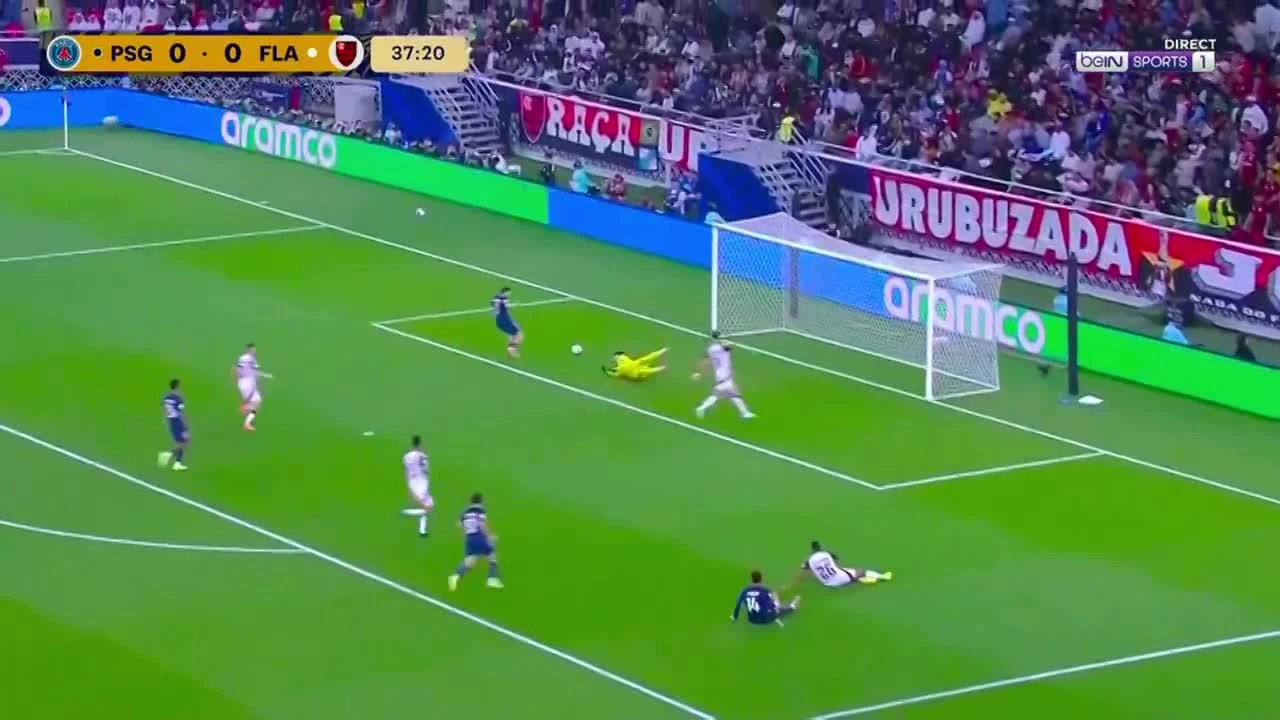 zaslepka skrotu video