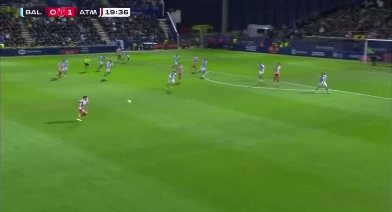 zaslepka skrotu video