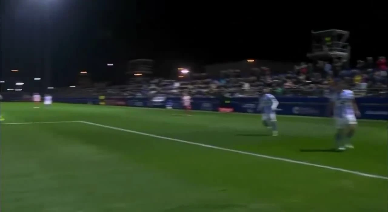 zaslepka skrotu video