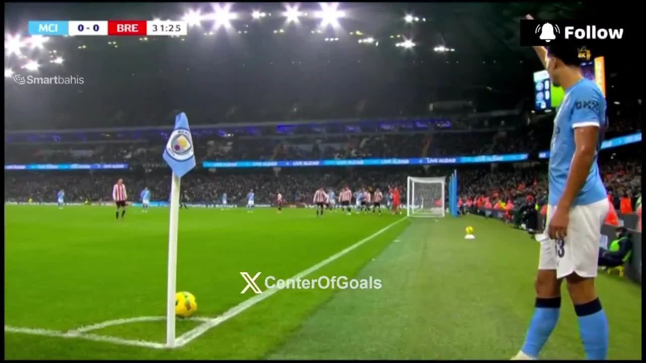 zaslepka skrotu video