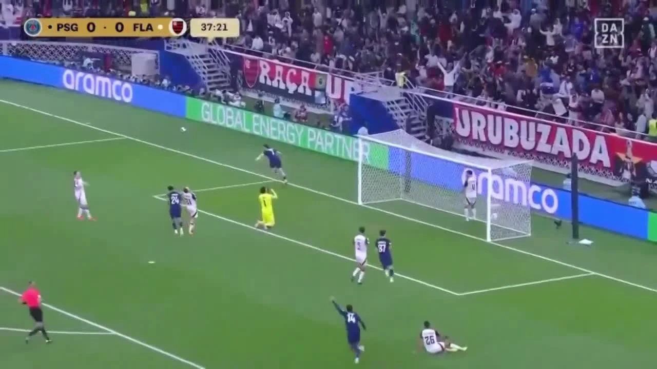 zaslepka skrotu video