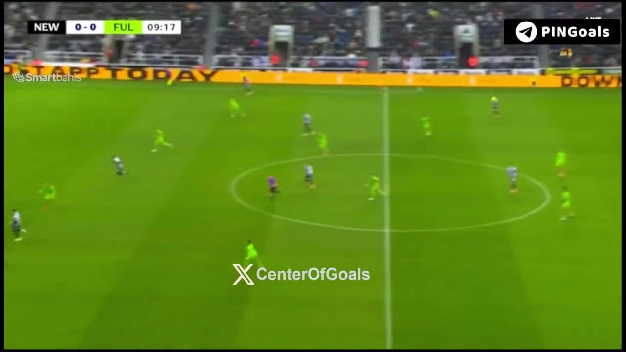 zaslepka skrotu video