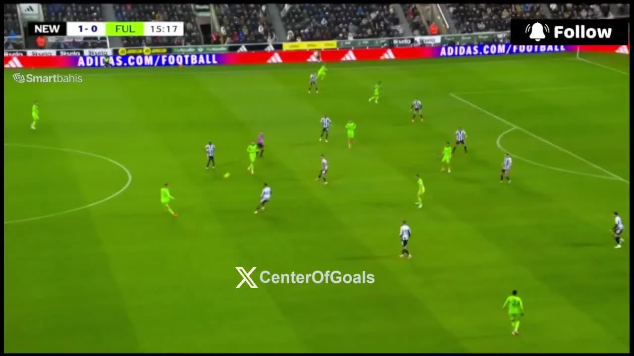 zaslepka skrotu video