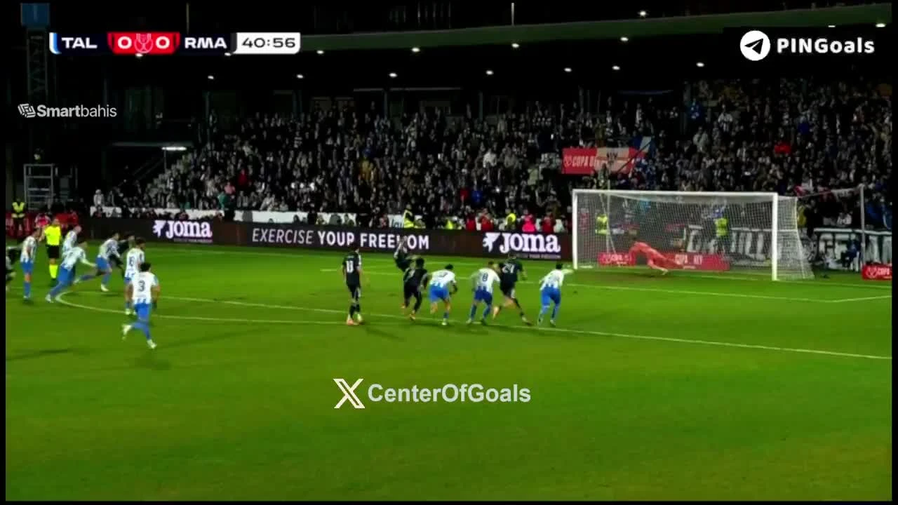 zaslepka skrotu video