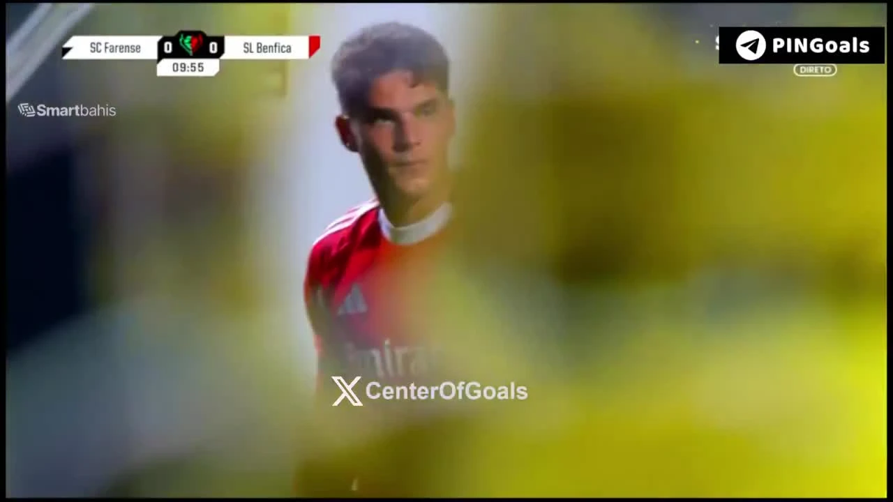 zaslepka skrotu video