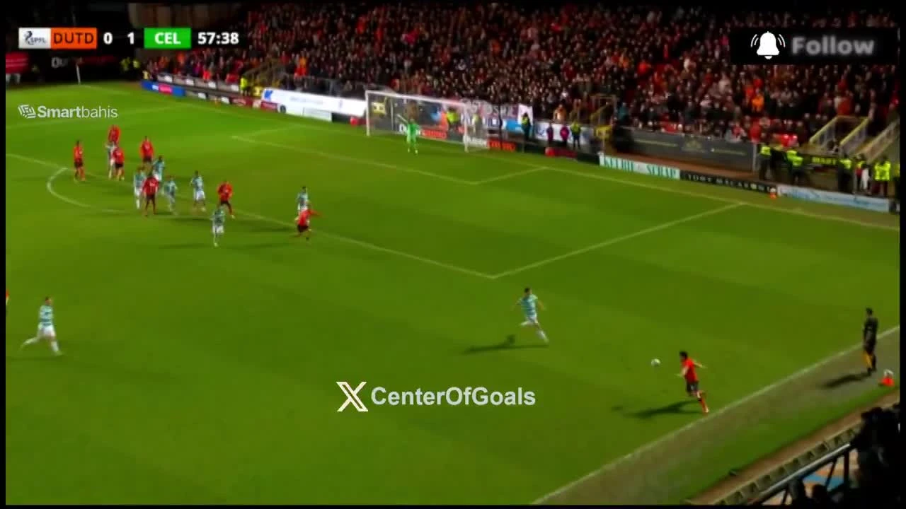 zaslepka skrotu video