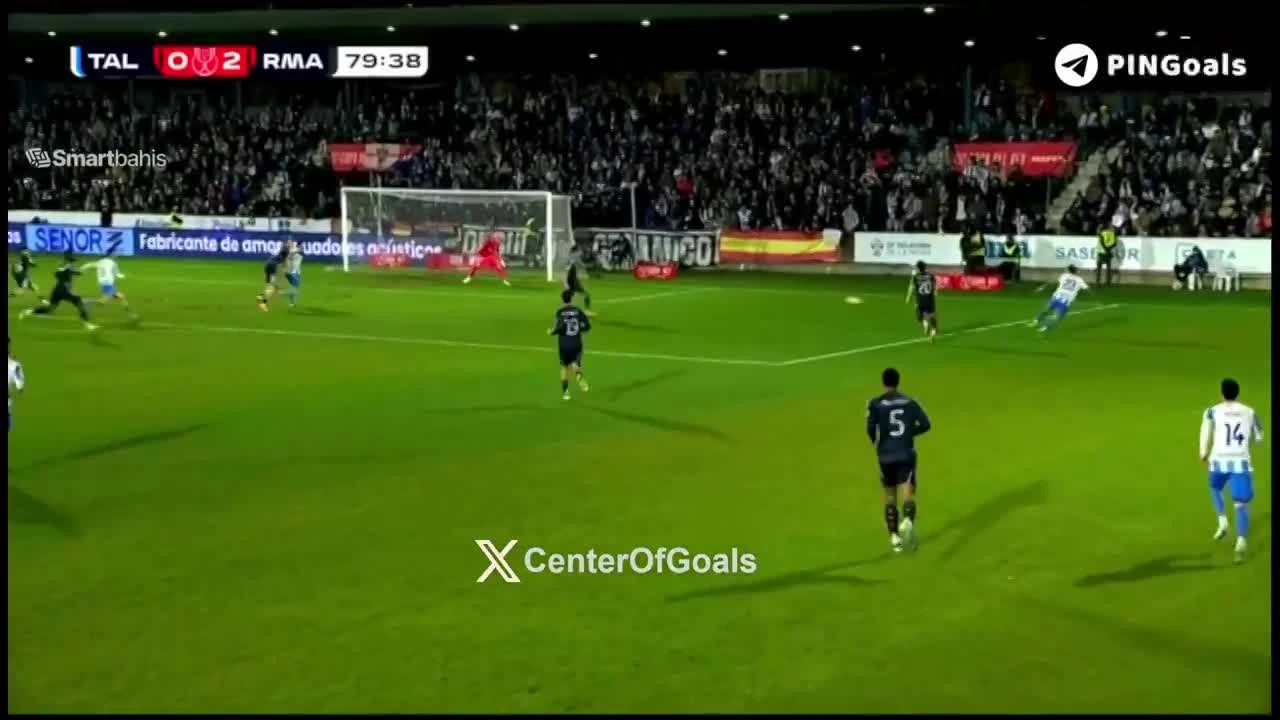 zaslepka skrotu video