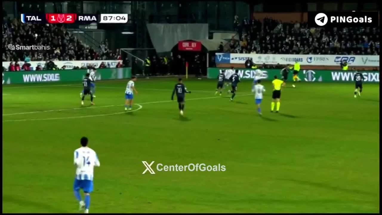 zaslepka skrotu video