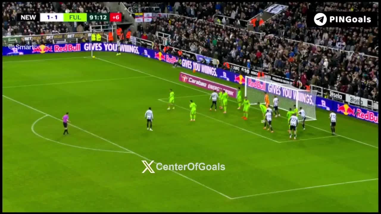 zaslepka skrotu video