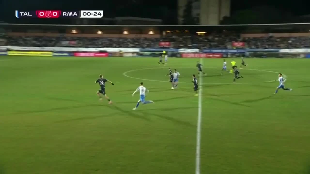 zaslepka skrotu video