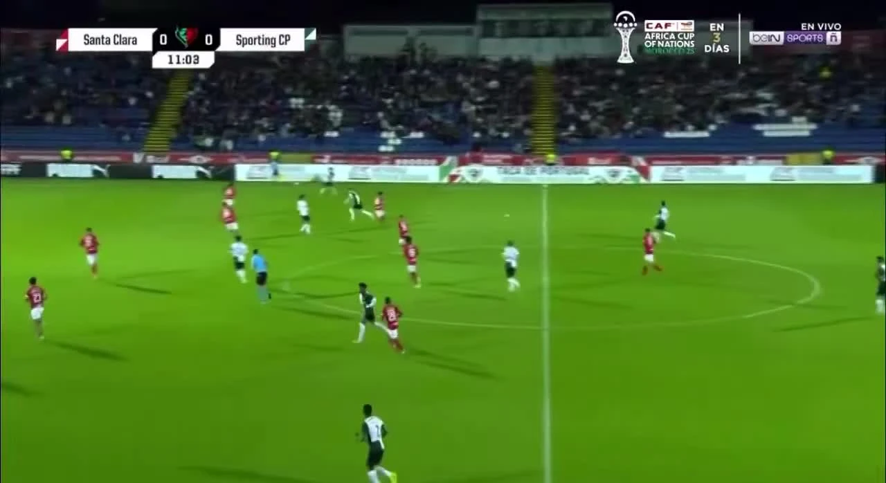 zaslepka skrotu video