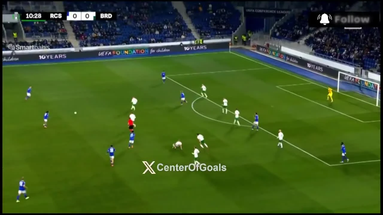 zaslepka skrotu video