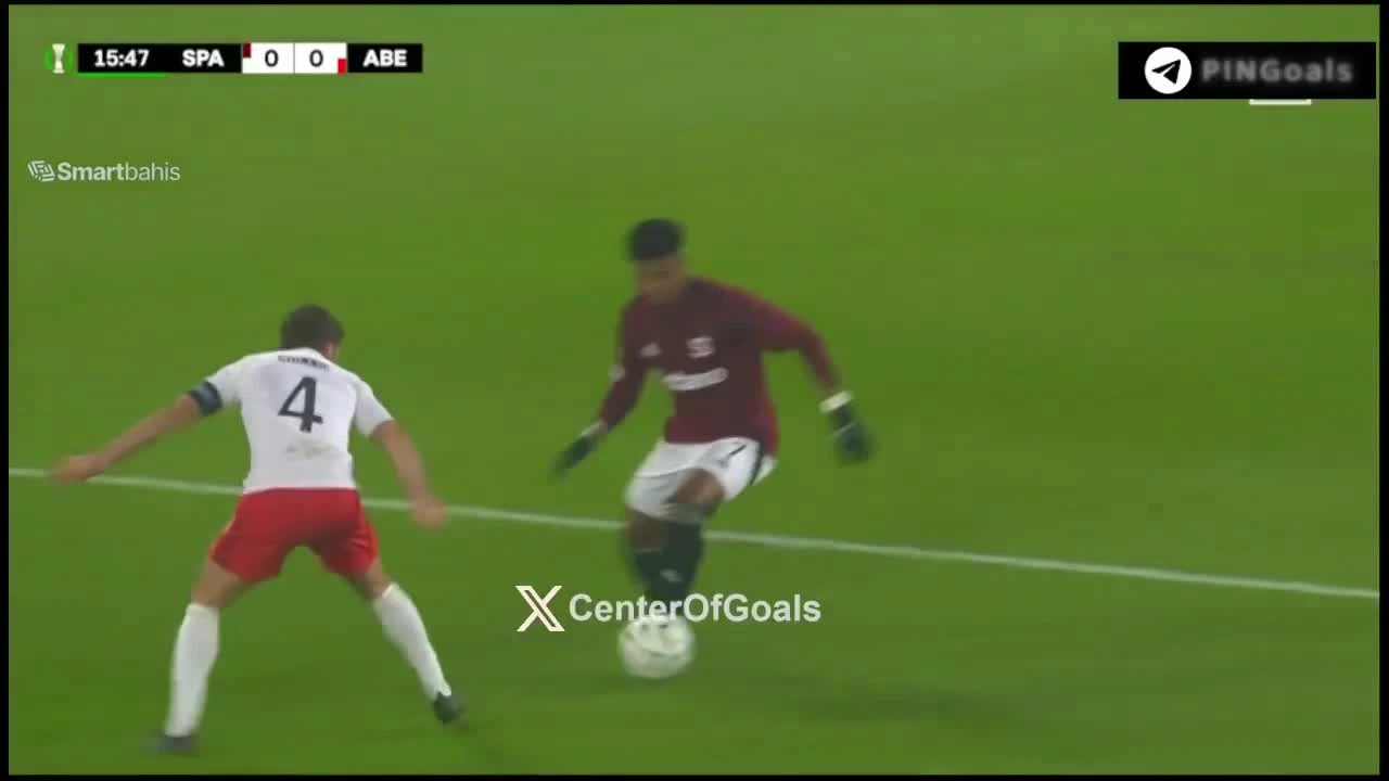 zaslepka skrotu video