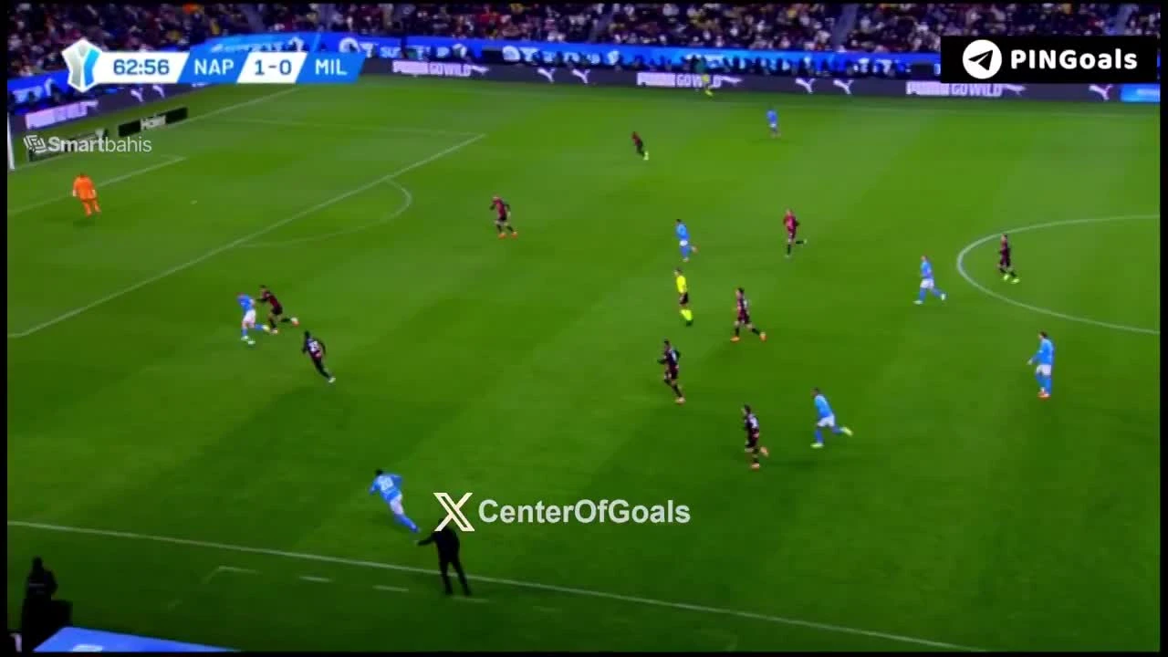 zaslepka skrotu video