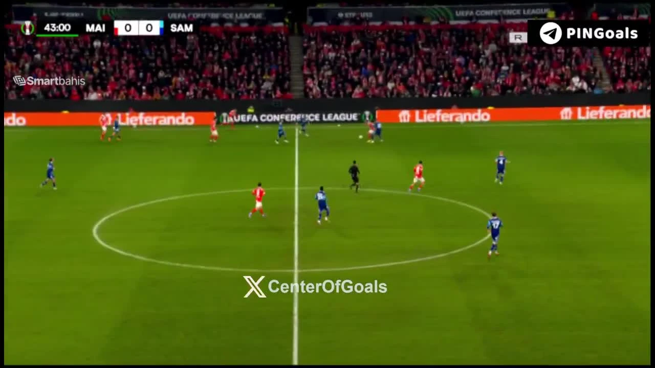 zaslepka skrotu video