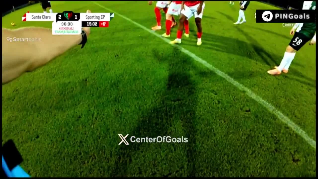 zaslepka skrotu video