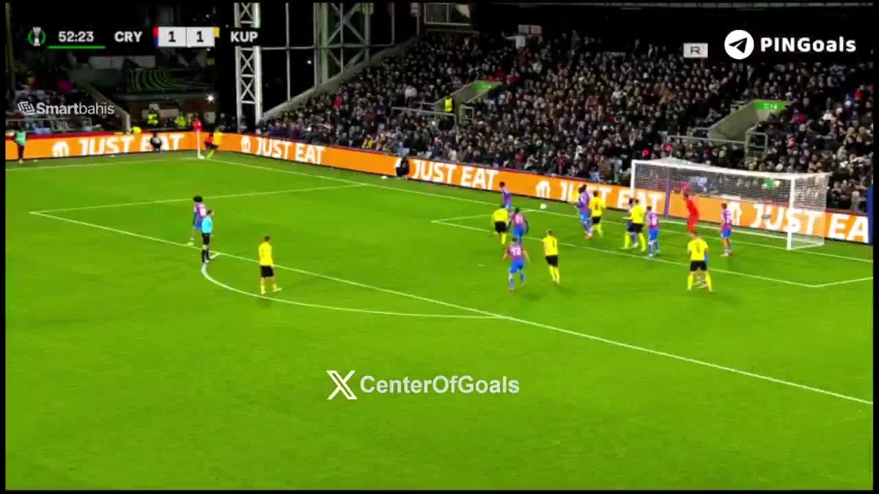 zaslepka skrotu video