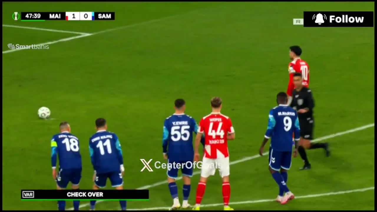 zaslepka skrotu video