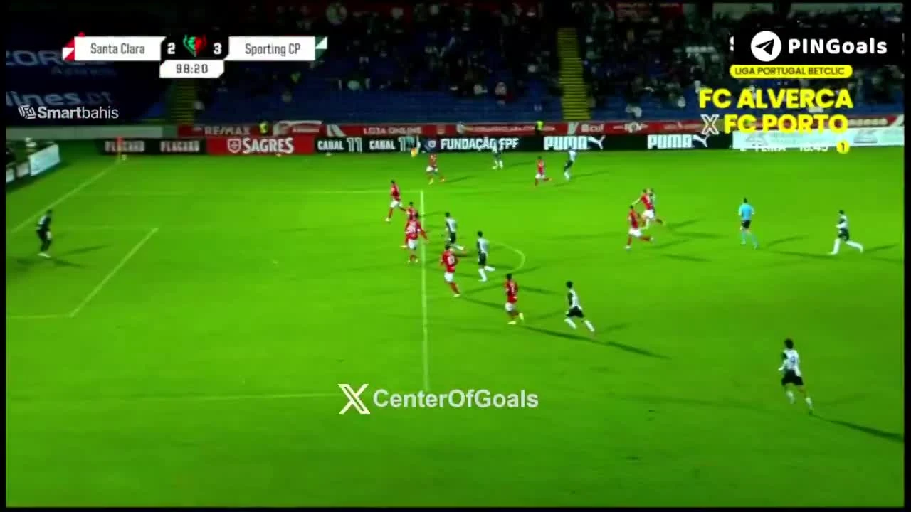 zaslepka skrotu video