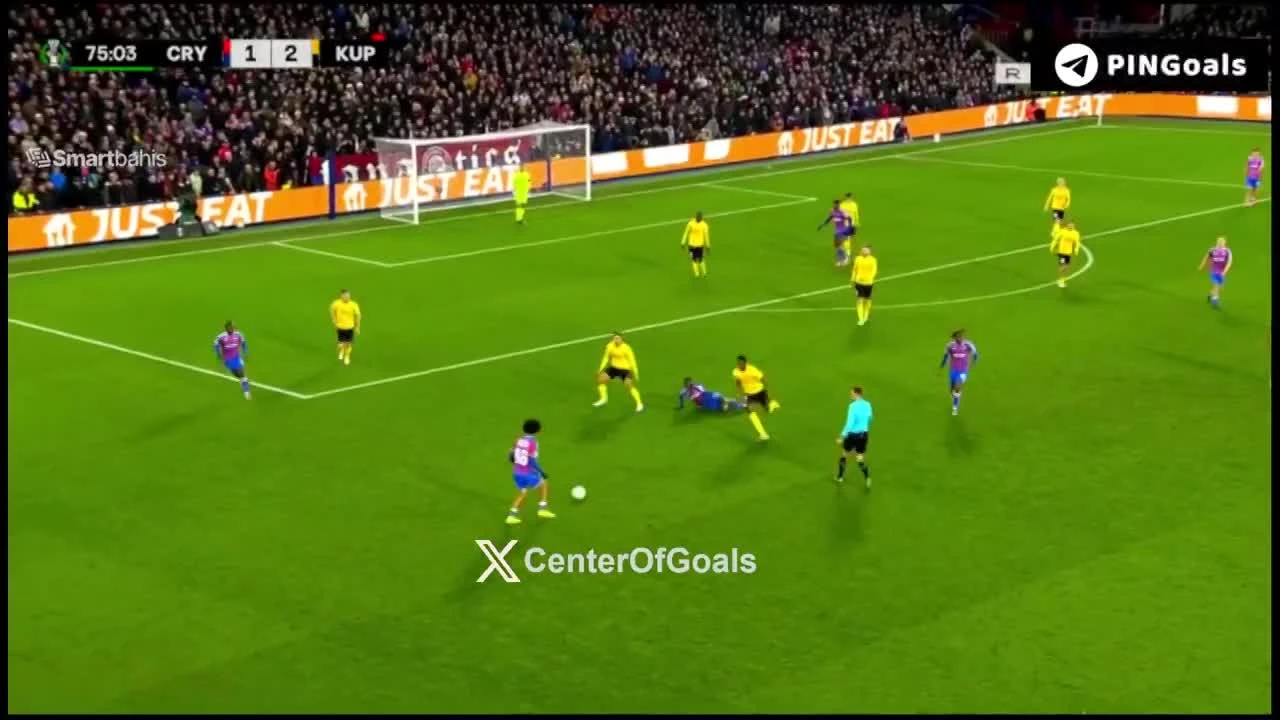 zaslepka skrotu video